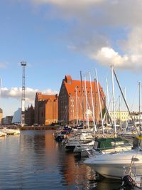 Boats in harbor