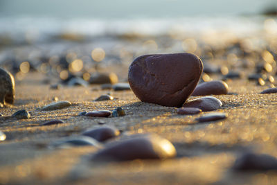 Close-up of stones on beach