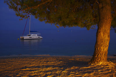 Sailboat on sea by trees