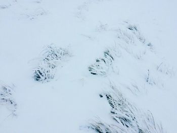 Scenic view of snow covered landscape