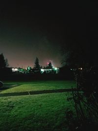 Illuminated trees against sky at night