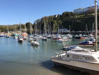 Boats moored at harbor against clear sky