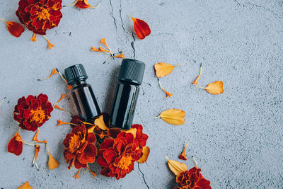 Top view of glass bottles of marigold essential oil with fresh orange yellow flowers .