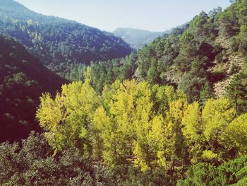 Scenic view of mountains