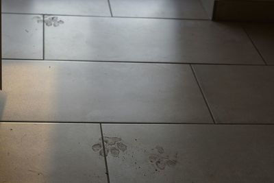 Full frame shot of tiled floor