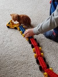 High angle view of baby toy on hand