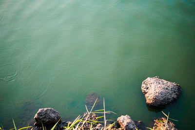 High angle view of lake