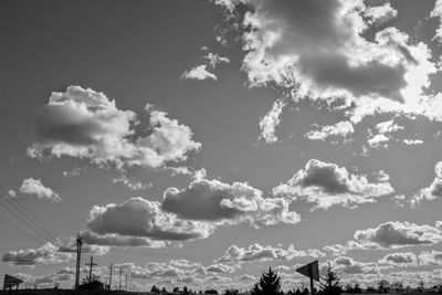 Low angle view of trees against sky