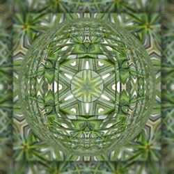 Full frame shot of christmas ornaments