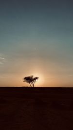 Silhouette tree on field against sky during sunset