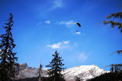 Low angle view of birds flying against blue sky