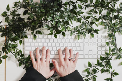 Woman's hands using laptop