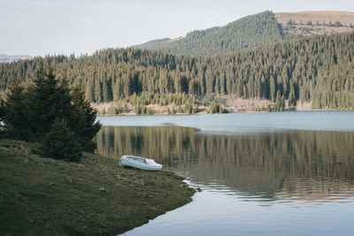 Scenic view of lake by trees against sky