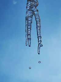 Close-up of fish against blue sky