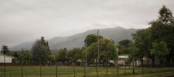 Trees on field against sky