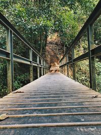 Rear view of person on footbridge in forest