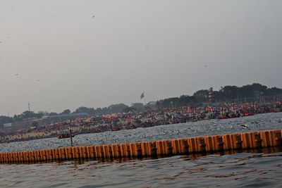 Birds flying over sea against clear sky