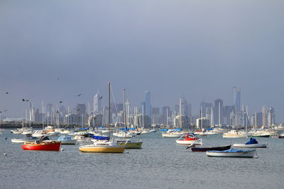 Boats moored at harbor against clear sky