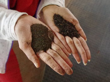 Midsection of woman holding dirt in hands