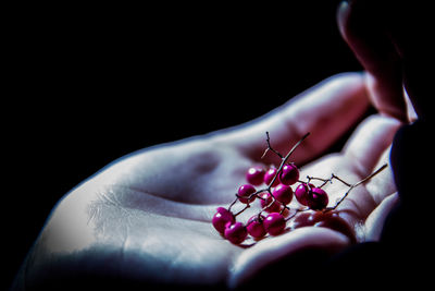 Cropped hand holding fruit against black background