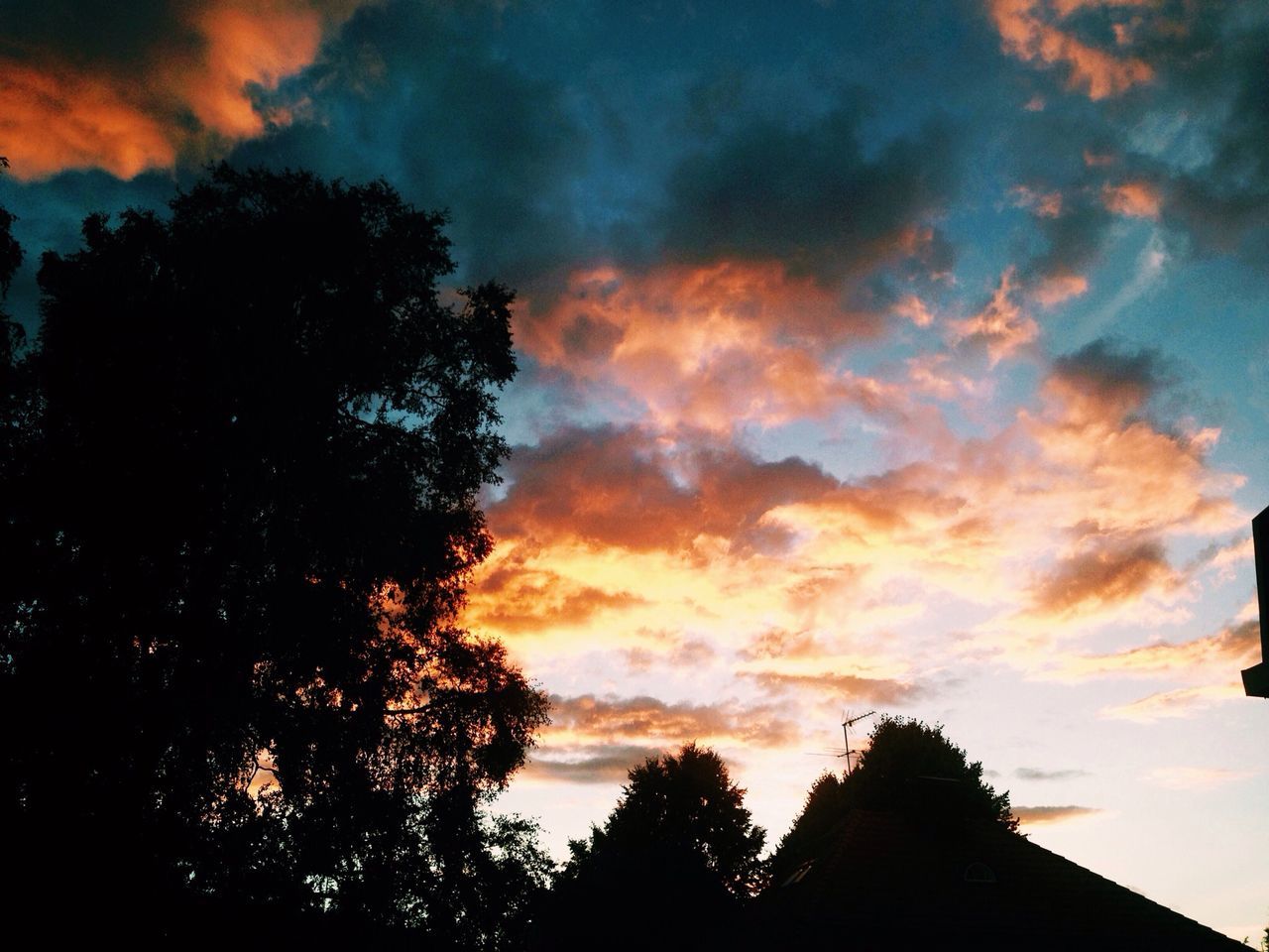 sky, silhouette, sunset, tree, cloud - sky, low angle view, beauty in nature, scenics, tranquility, cloudy, tranquil scene, nature, cloud, dramatic sky, orange color, idyllic, dusk, outdoors, growth, overcast