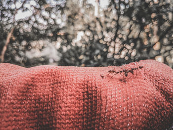 Close-up of human hand against blurred background