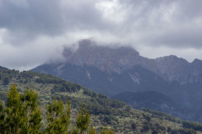 Scenic view at landscape at serra de tramuntana between soller and valldemossa, mallorca