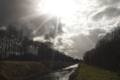 Canal amidst trees against sky