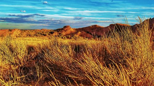 Scenic view of landscape against sky