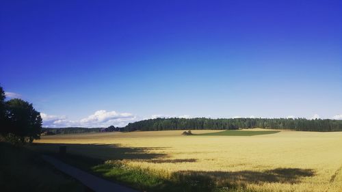 Country road passing through field