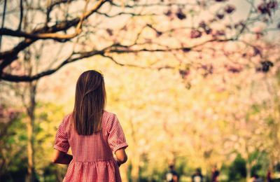 Rear view of woman standing at park during autumn