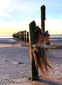 Wooden posts on beach against sky during sunset