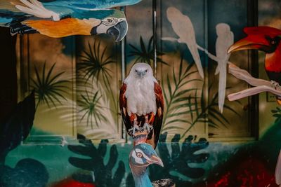 Close-up of birds perching on water