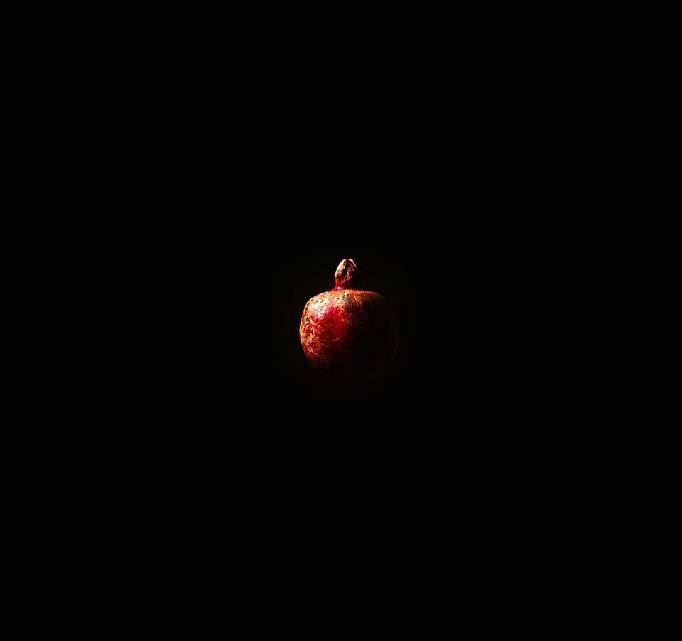 red, food, fruit, food and drink, studio shot, copy space, healthy eating, black background, close-up, night, animal themes, no people, freshness, cut out, still life, nature, wildlife, indoors, dark, bird