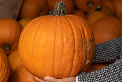 Close-up of pumpkins