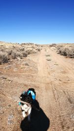 Scenic view of desert against clear blue sky