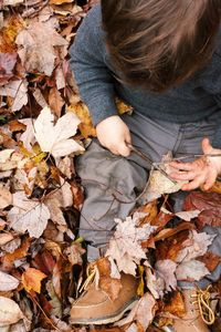 Overhead view of young boy sitting in maple leaves during autumn