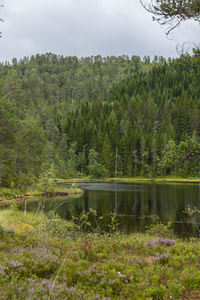 Scenic view of lake against sky