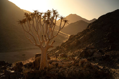 Scenic view of mountains against sky during sunset