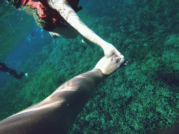 High angle view of people scuba diving in sea