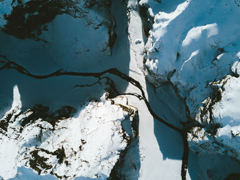 Close-up of frozen tree by lake against sky