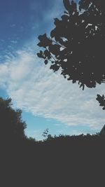 Low angle view of trees against sky