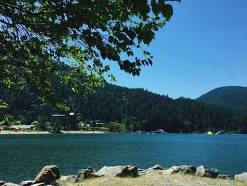 Scenic view of river by trees against clear sky