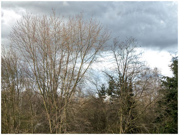 Scenic view of field against cloudy sky