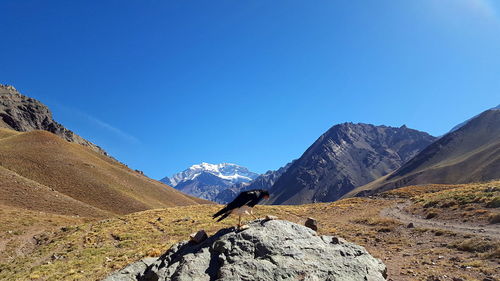 View of a mountain range against clear blue sky