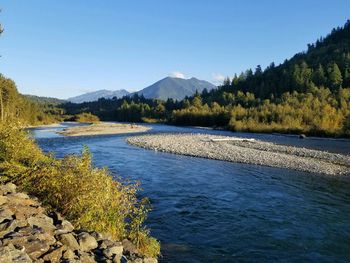 The vedder river in autum, chilliwack, bc.