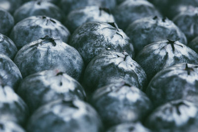 Full frame shot of rows of ripe and fresh organic blueberries in a food background with coffee space