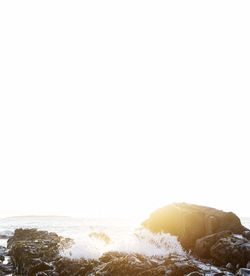 Scenic view of calm sea against clear sky