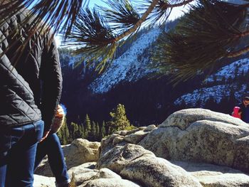 People standing on tree trunk