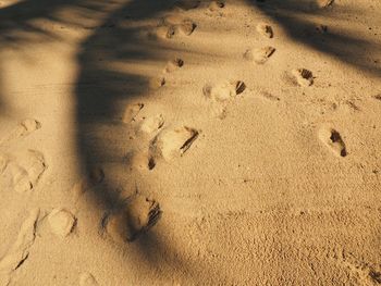 Shadow on sand